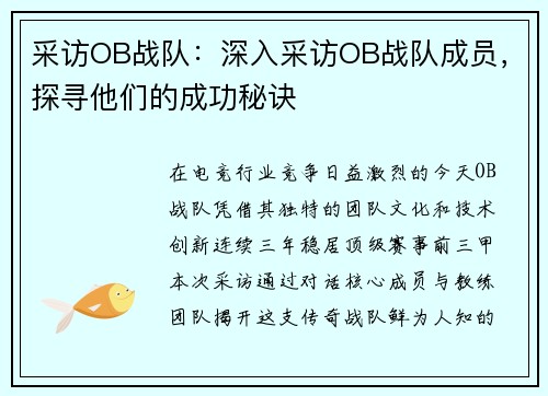 采访OB战队：深入采访OB战队成员，探寻他们的成功秘诀