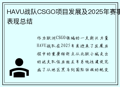 HAVU战队CSGO项目发展及2025年赛事表现总结