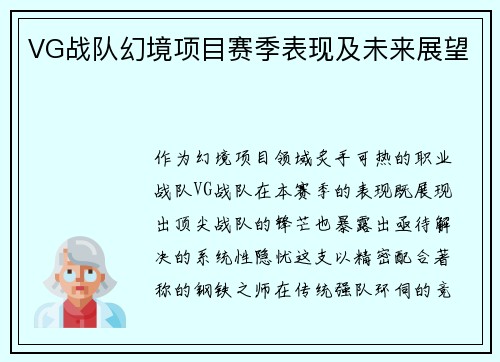 VG战队幻境项目赛季表现及未来展望